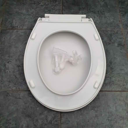 Photo of free Toilet seat (Chingford E4) #3