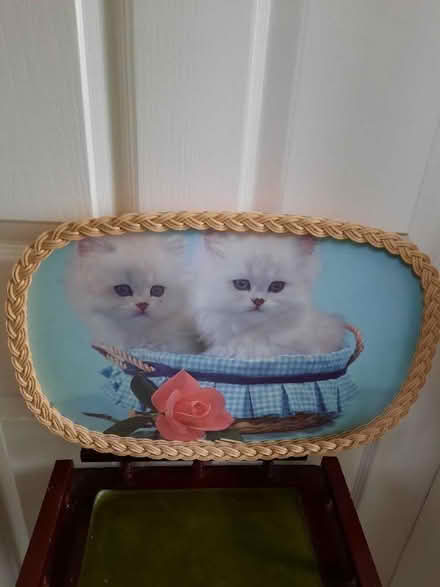 Photo of free 2x trays with wicker sides (Brimington S43) #2