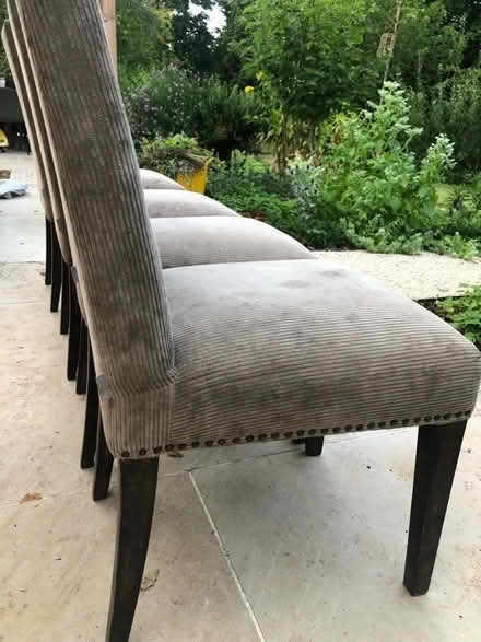 Photo of free Dining chairs (Worcester Park KT4) #2