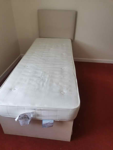 Photo of free Single bed with pullout bed underneath (IP7) #1