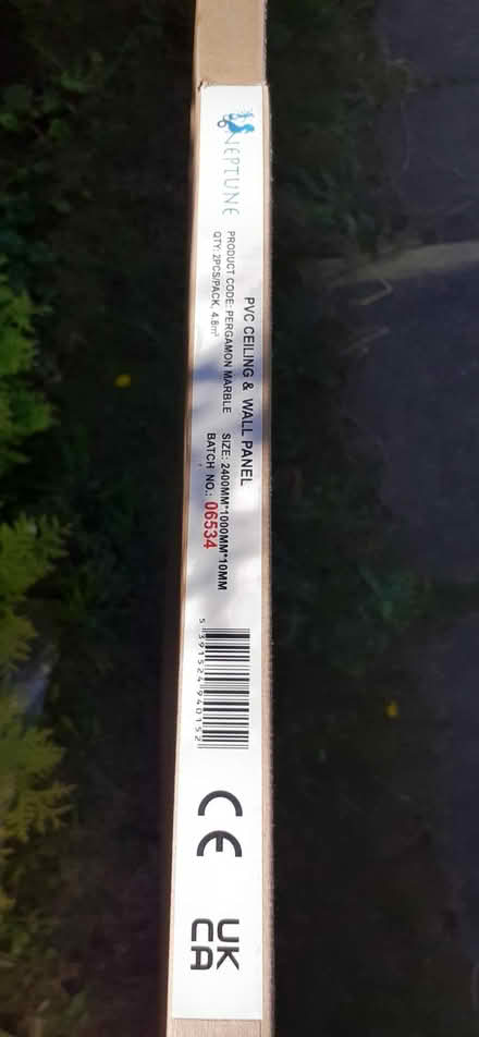 Photo of free Wall panel (Birch Hill RG12) #3