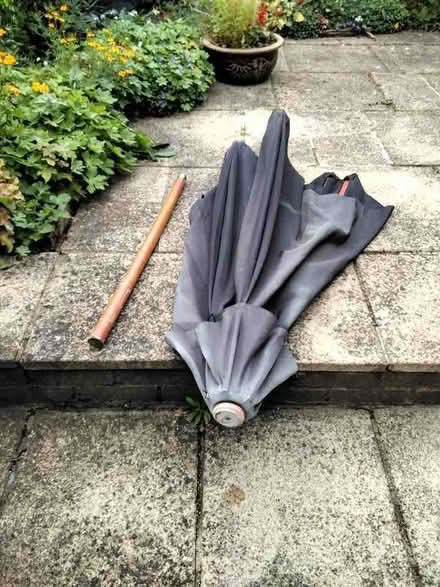 Photo of free Parasol (Cottonmill AL1) #1