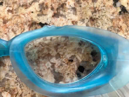 Photo of free Aqua coloured swim goggles (Ruislip UB10) #4