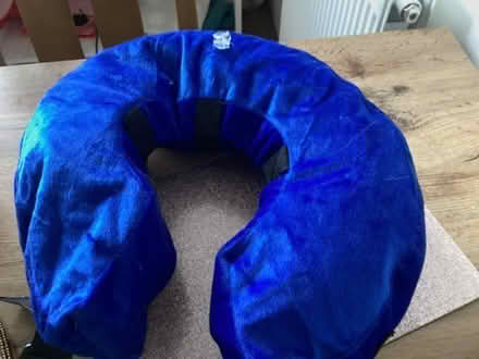 Photo of free Post op dog collar (Southport PR8) #2