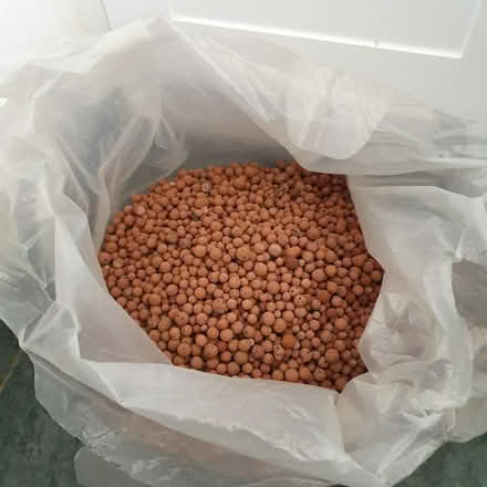 Photo of free Leca/clay balls (Chingford E4) #2