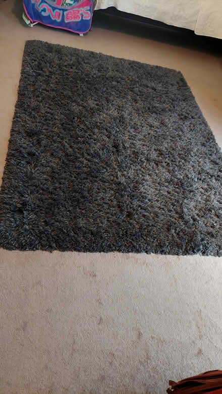 Photo of free Shag rug (Snellville) #1