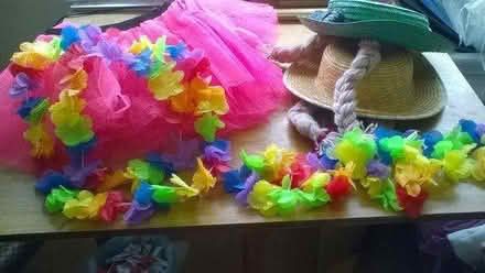 Photo of free Fancy dress (Swarcliffe LS14) #1
