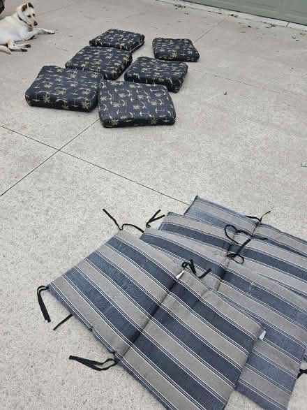 Photo of free Deck chair cushions (Farmington Hills 11Mile n Farm) #3