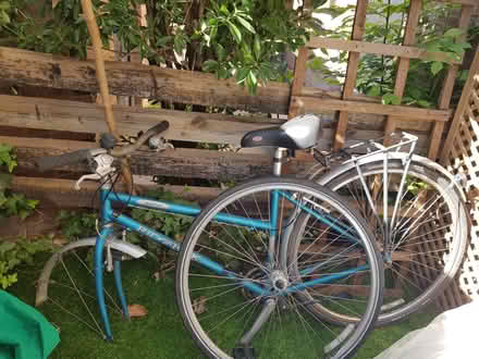 Photo of free Bicycle (W10 Ladbroke Grove) #1