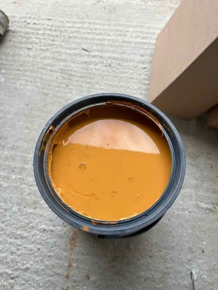 Photo of free Autumn Gold shed / fence paint (Leeds LS16) #1