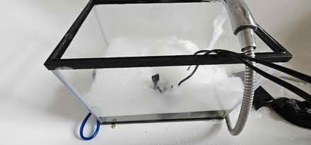 Photo of free Two fish tanks 25L 50L and 3 fishes (BB5 Accrington) #4