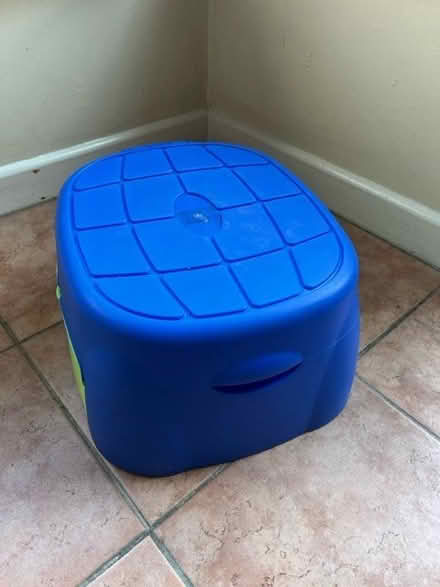 Photo of free Potty/step stool (Naas town) #1