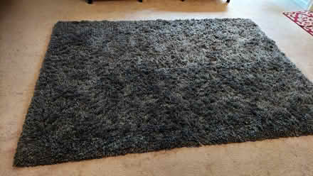 Photo of free Shag rug (Snellville) #2