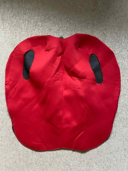 Photo of free Apple costume (RG10 Waltham St Lawrence) #2