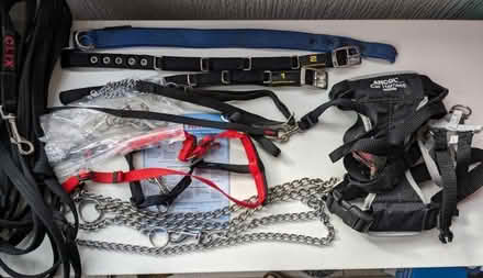 Photo of free various dog items (Tring Wharf HP23) #1