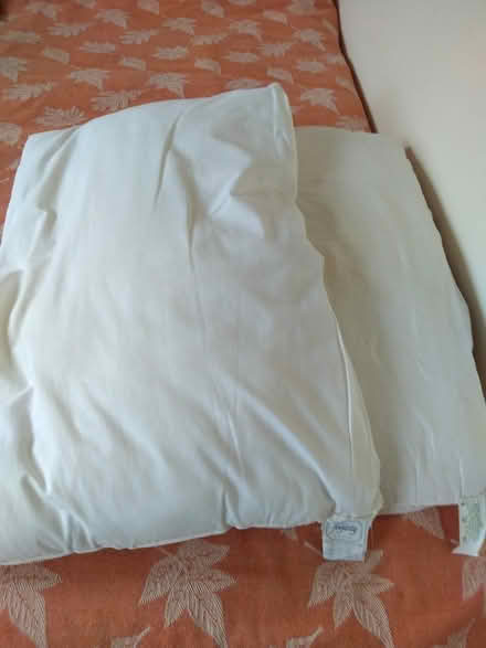 Photo of free 2 Pillows (Woodmancote GL11) #1