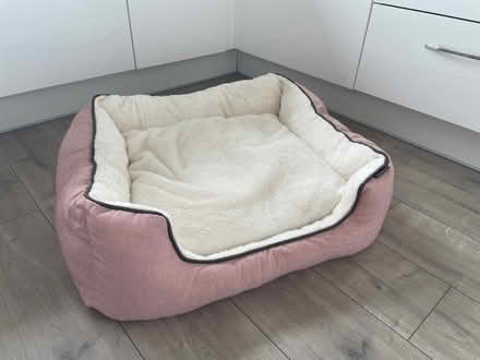 Photo of free Wainwrights Large Dog Bed (Wolverhampton) #1