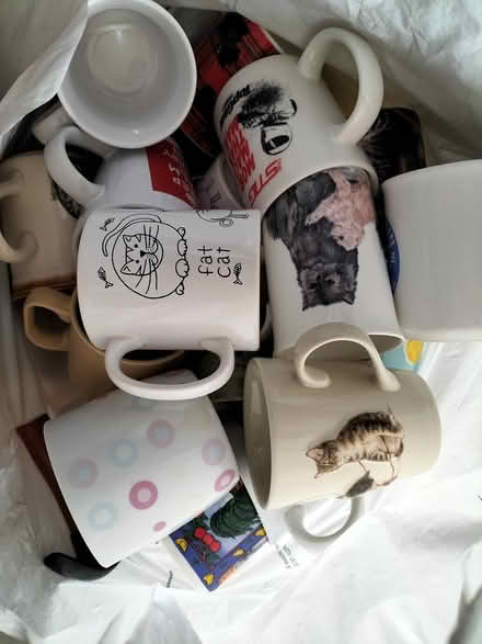 Photo of free Selection of mugs (Arnold NG5) #1