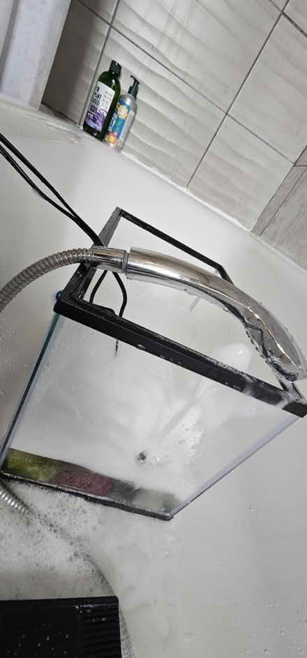 Photo of free Two fish tanks 25L 50L and 3 fishes (BB5 Accrington) #2