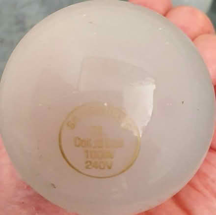 Photo of free Lightbulbs (Chingford E4) #3