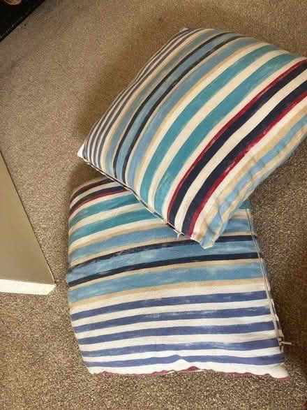 Photo of free Two cushions (TQ5) #1