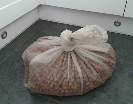 Photo of free Leca/clay balls (Chingford E4) #1