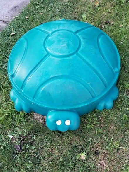 Photo of free Turtle sandbox with lid (Greenwood and Danforth) #1