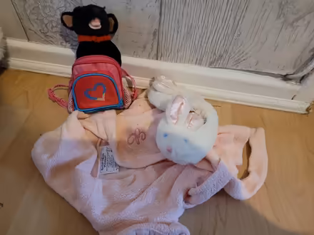 Photo of free Build-a-Bear clothes, bag etc (Hoddesdon EN11) #1