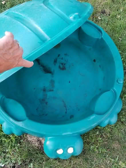 Photo of free Turtle sandbox with lid (Greenwood and Danforth) #2