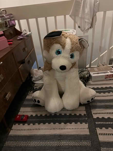 Photo of free Large soft dog (N11) #1