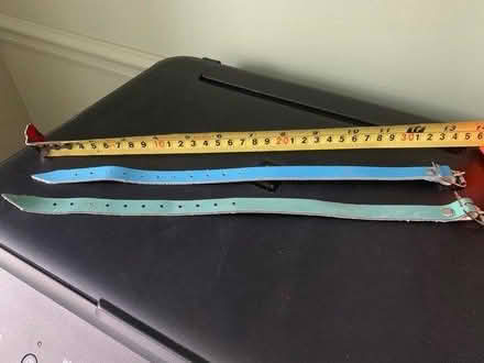 Photo of free Pet collars (Lexden, CO3) #1