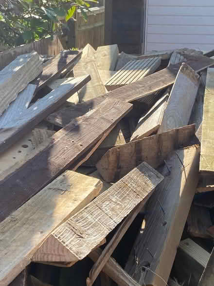 Photo of free Off cuts of wood for burning (Sidley TN39) #2