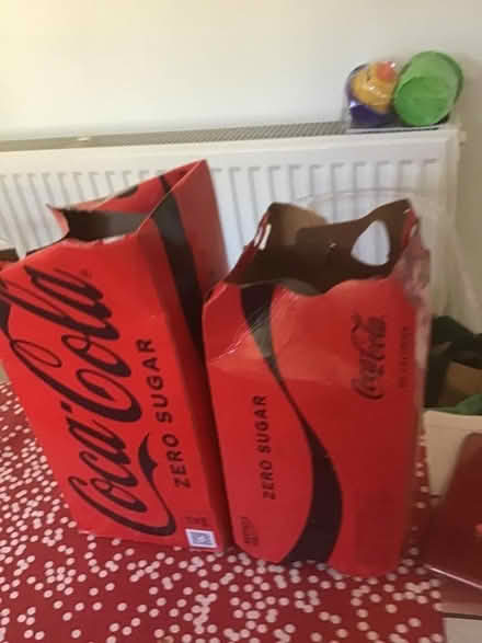 Photo of free Fizz (Burghfield Common RG7) #1