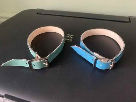 Photo of free Pet collars (Lexden, CO3) #2