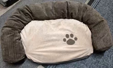 Photo of free Cat/dog bed (Gobowen SY10) #1