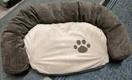 Photo of free Cat/dog bed (Gobowen SY10) #1