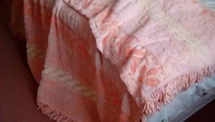 Photo of free Candlewick bedspread (Halliwell BL1) #1