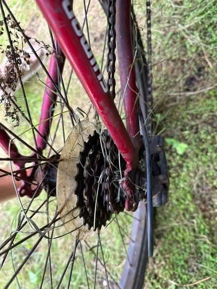 Photo of free Adult small bike (BN3) #2