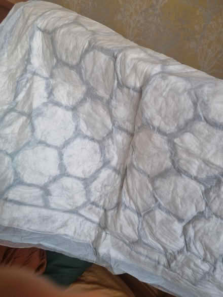 Photo of free Bed pads (SE1) #1