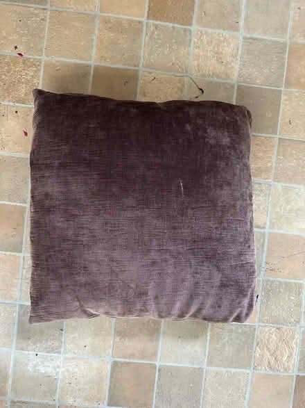 Photo of free Large brown cushion (BN3) #1