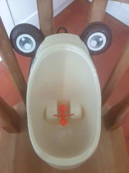 Photo of free Little boys' training urinal (Hitchin SG4) #2