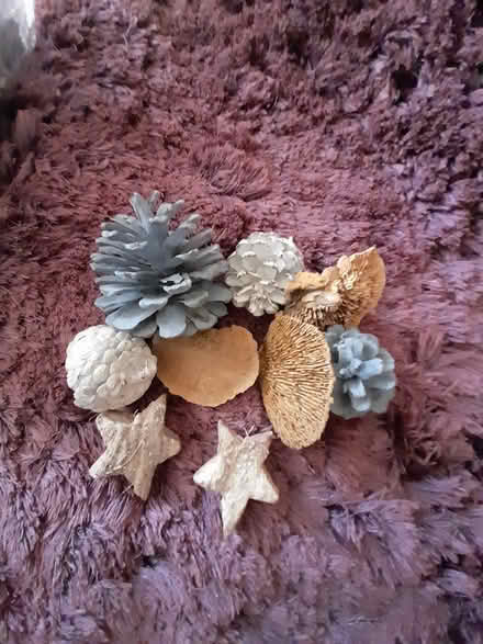 Photo of free Decorative pine cones (Letchworth Garden City) #2