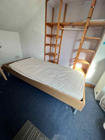 Photo of free single bed and mattress (Cowplain PO8) #1