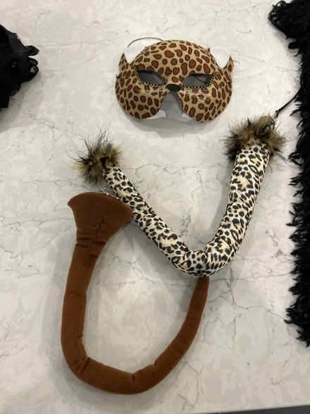 Photo of free Halloween costumes - kids (Kentlands in Gaithersburg) #3