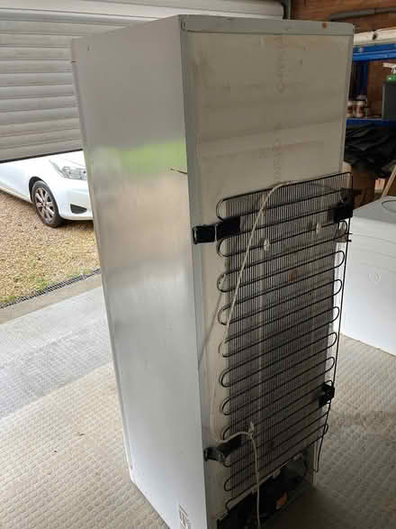 Photo of free Indesit Tall Freezer (Cuckfield) #4