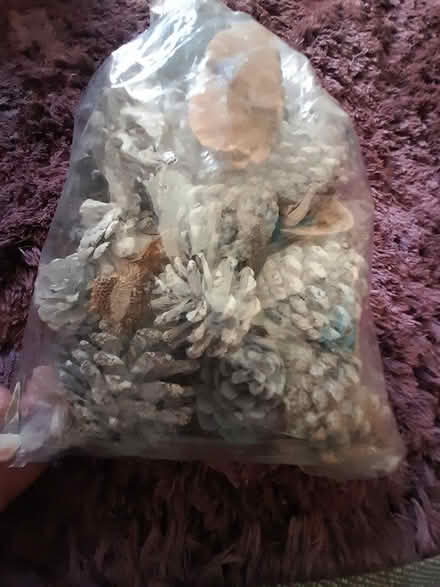 Photo of free Decorative pine cones (Letchworth Garden City) #1