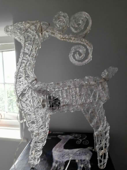 Photo of free Small warm white twinkling stag (Letchworth Garden City) #1