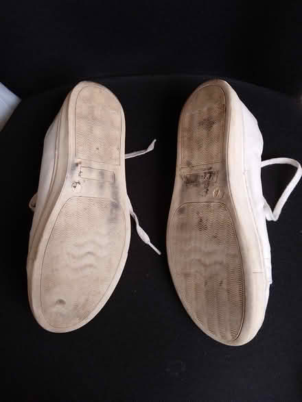 Photo of free Shoes: women's pumps - size 7 (Bosham, Chichester) #2