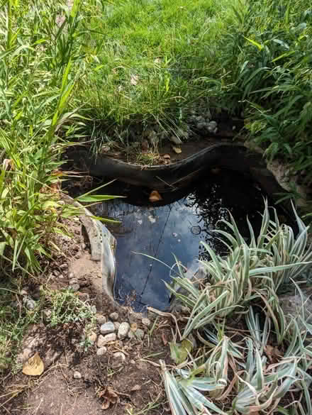 Photo of free Pond liner with fountain pump (Washington Park) #1