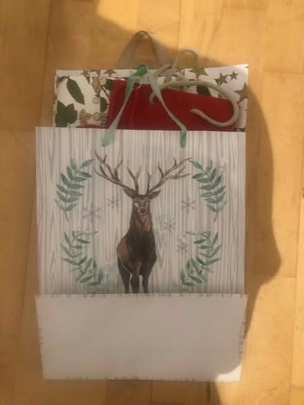 Photo of free Gift bags (M21) #1